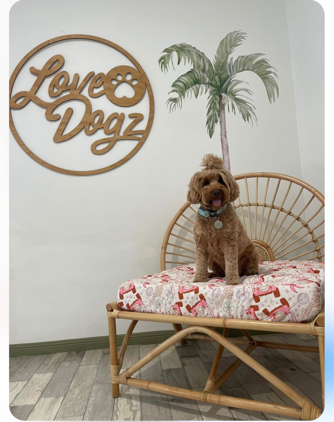 MERMAIDS - WATERPROOF DOG BED COVERS