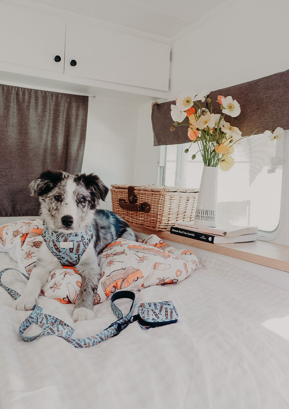 COMBI - WATERPROOF DOG BED COVERS